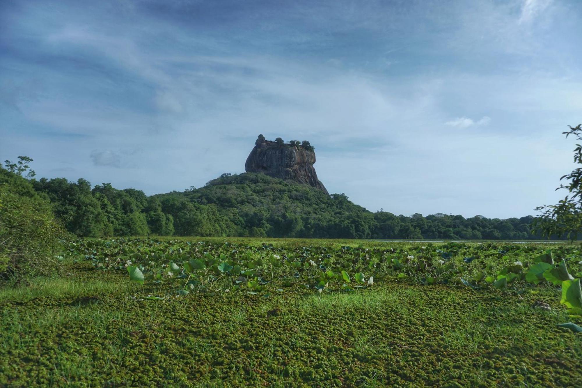 Sashini Homestay Sigiriya Exterior foto
