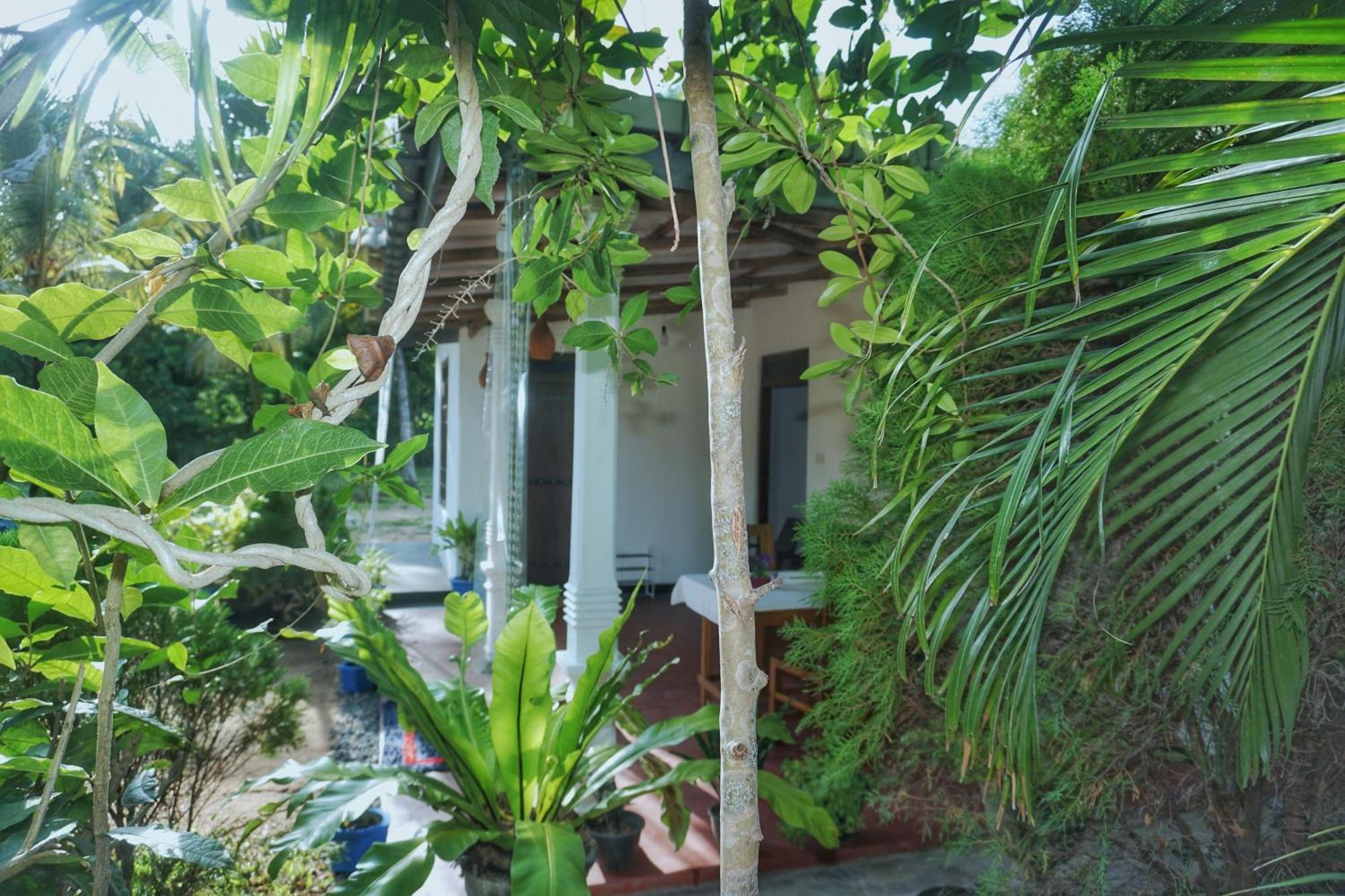 Sashini Homestay Sigiriya Exterior foto